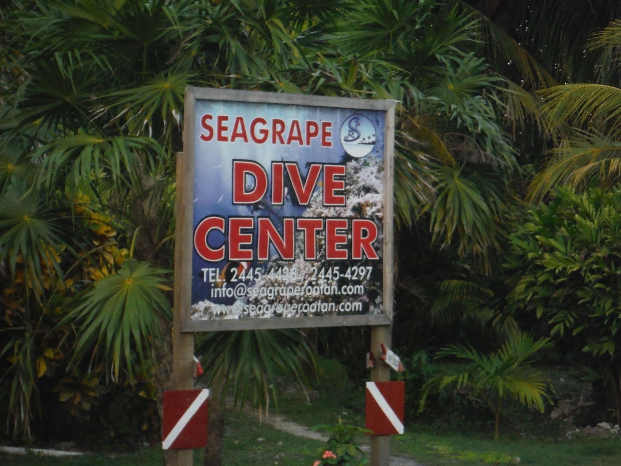 Seagrape Plantation Resort & Dive Center West End Ngoại thất bức ảnh